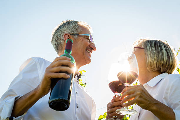 Senior couple toasting with wine glasses in vineyard
