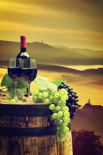 istock Red wine with barrel on vineyard in green Tuscany 619047244