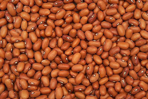 Closeup image of ecological brown beans seen from above