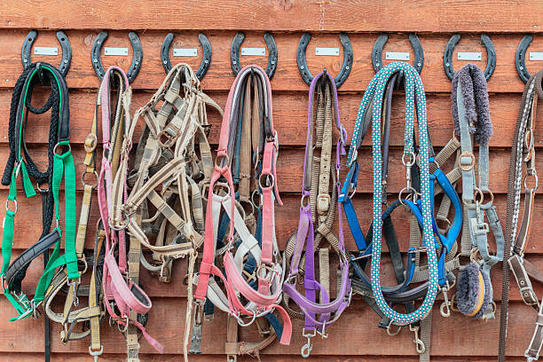istock Different reins hanging near stable 619054060
