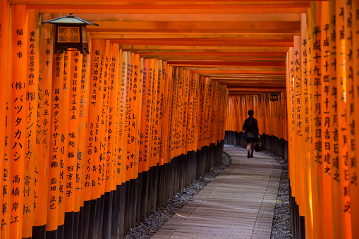 Kyoto, Japan - October 24, 2016: A woman walks though a tunnel created by torii gates at the Fushimi Inari Shrine.