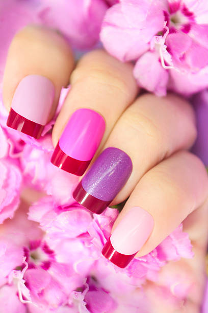 istock Maroon pink multicolored French manicure. 619056130