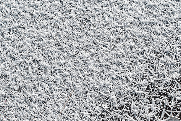 istock High angle view of snow texture, background with copy space 619057950