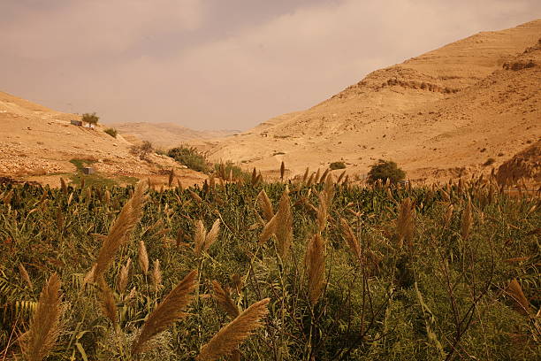 the Landscape near the City of Salt in Jordan in the middle east.