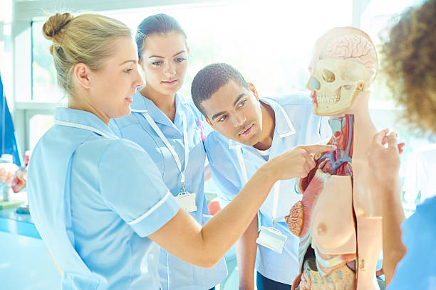 istock nursing students with tutor discussing anatomy 619063712