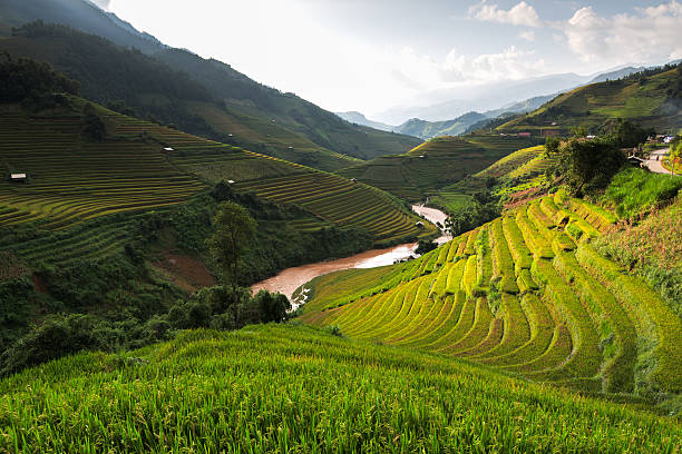 istock Beautiful landscape rice fields on terraced of Mu Cang Chai 619066438