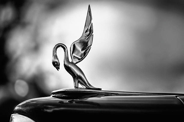 istock Swan Hood Ornament on 1942 Packard 619066906