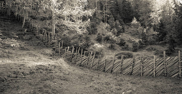 istock Fence inside a typical forest of the Italian Alps 619068906