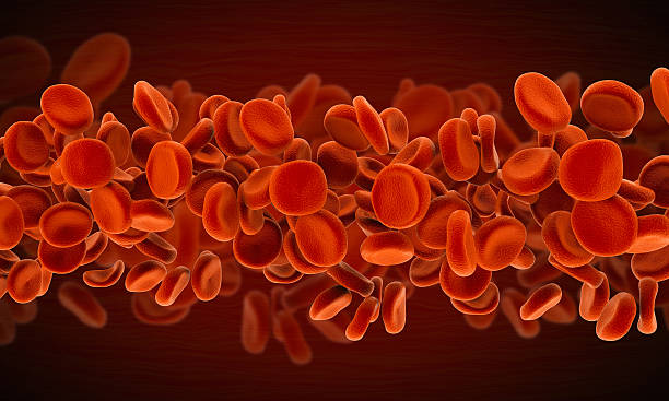 3 d rosso di cellule del sangue - bacterium biology flowing vascular foto e immagini stock