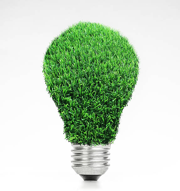 istock retro vintage light bulb with green grass on top 619074810