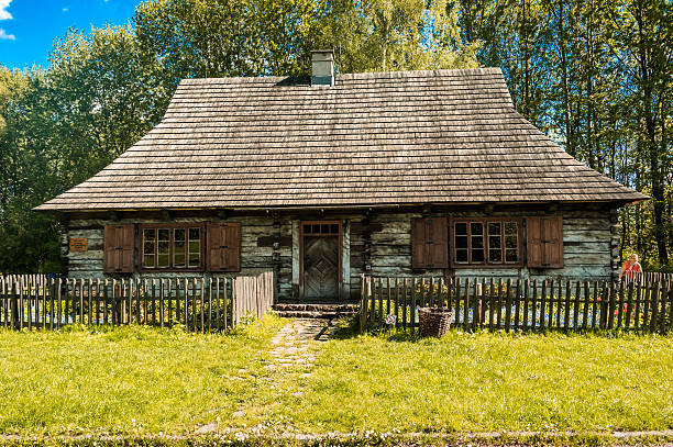 musée en plein air - chorzow photos et images de collection