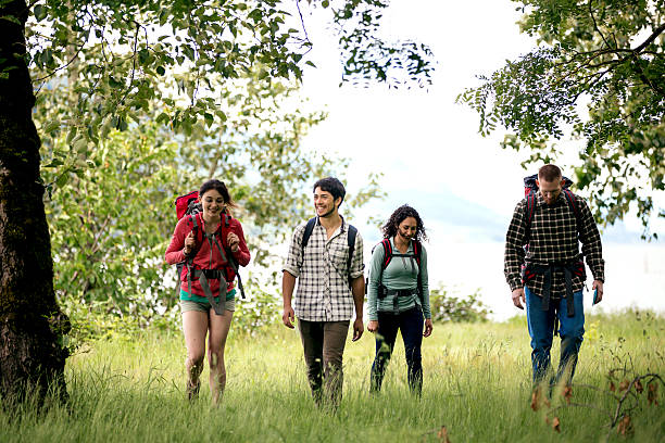 istock Diverse group of hikers backpacking for the weekend 619078920
