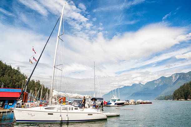 Yatchs in Marina