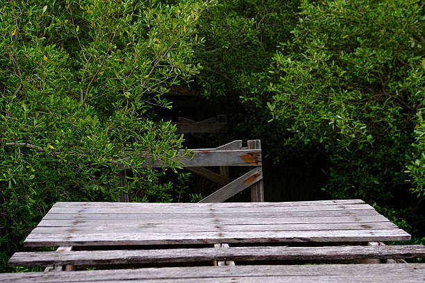View of wooden deck in diminishing perspective view over Caribbean sea.