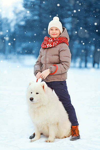 istock happy child walking with white Samoyed dog on snow winter 619081926