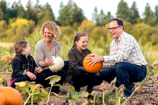 Cute famiy of four laughing in the middle of a pumpkin patch