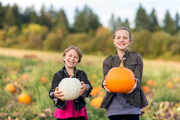 istock Two young girls in a pumpking patch holding pumpkins 619082764