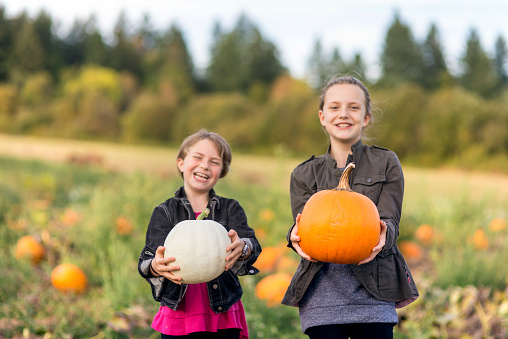 Two young girls in a pumpking patch holding pumpkins