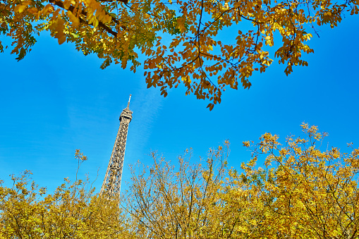 Eiffel tower with bright autumn yellow leaves over the blue sky. Sunny autumn day in Paris