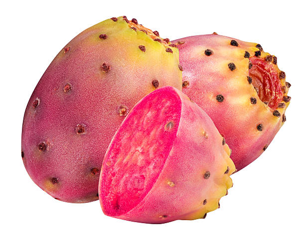 istock group of opuntias isolated on white background 619086992