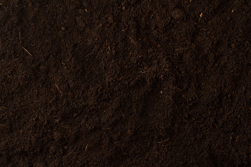 Top view of seamless dark soil texture background with nothing on it