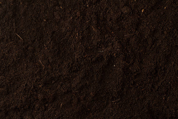Black soil texture background top view stock photo