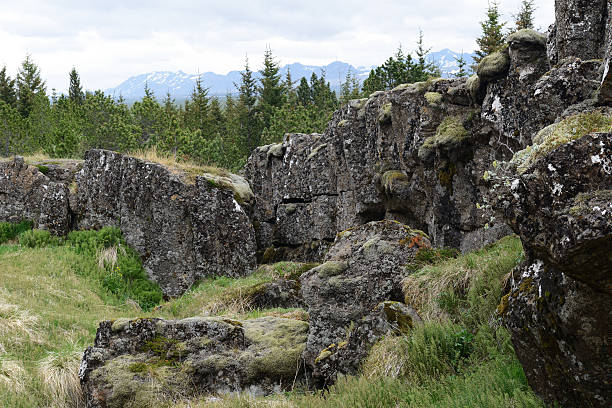 istock Scenery of Pingvellir National Park in Iceland 619089490