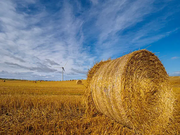 Strawbales and a wind turbine in a stubble field.