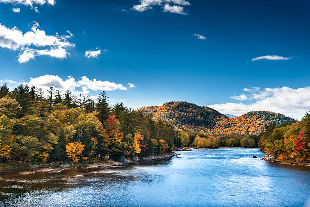 river with stones in the white mountain forest - vermont
