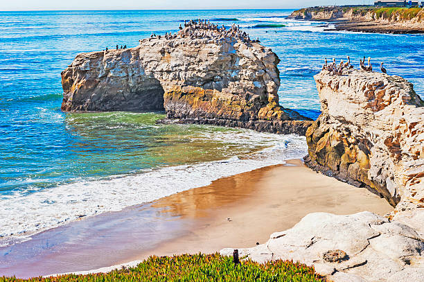istock Santa Cruz Colorful Coastline with Pelicans 619090594