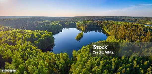 Forest Lake Stock Photo - Download Image Now - Aerial View, Lake, Heart Shape