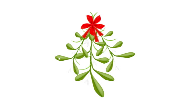 Animation of Lovely Mistletoe with A Red Bow