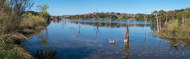 istock Panoramic View of Large Lake with Grass on the Shore 619229408