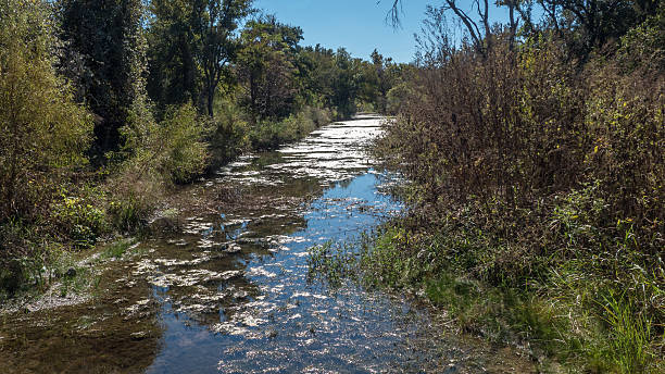 istock Stream through the Forest with no clouds in the sky 619229484