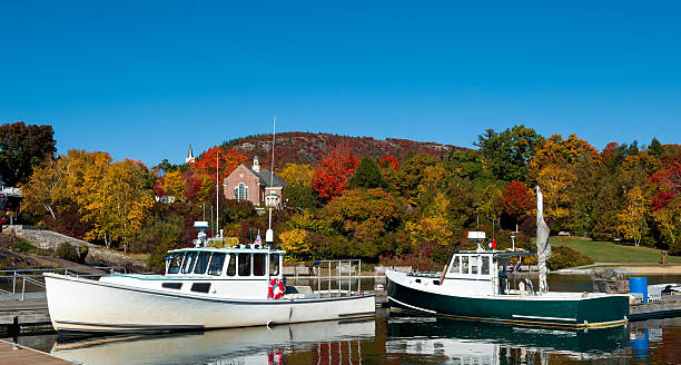 Lobster boats in Camden, Maine Harbor, fall foliage stock photo
