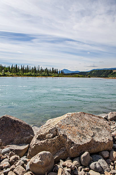 Yukon River running along the Water Front at Whitehorse, Yukon Territory, Canada on a Summer Morning
