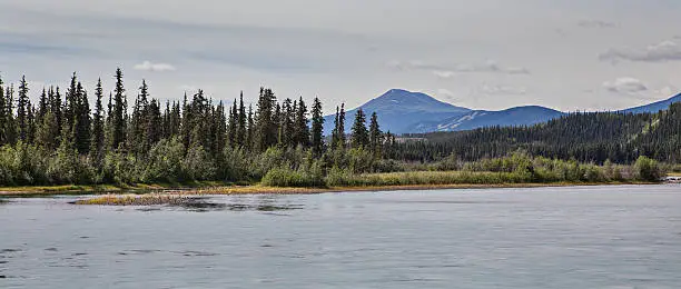 Yukon River running along the Water Front at Whitehorse, Yukon Territory, Canada on a Summer Morning