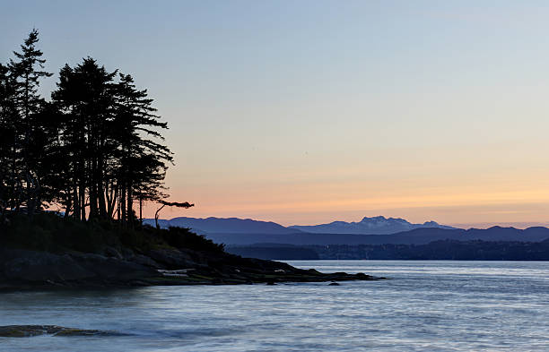 istock Sunset Silhouette on Gabriola Island 619231056