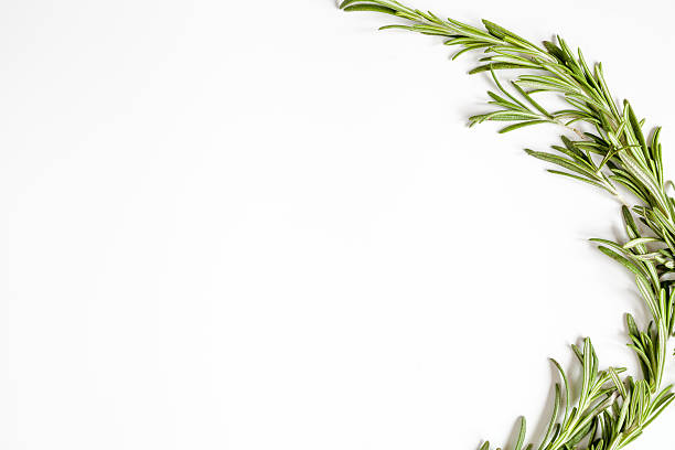 istock frame from rosemary on wooden background top view 619231196