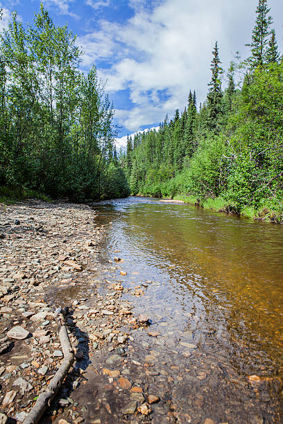 istock Bonanza Creek, Yukon 619231442