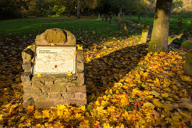 istock Cairn amongst Autumn leaves 619231480