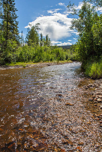 istock Bonanza Creek, Yukon 619231510