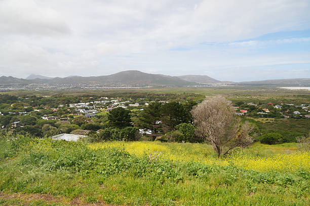 istock Springtime in Cape Town,South Africa. 619233160