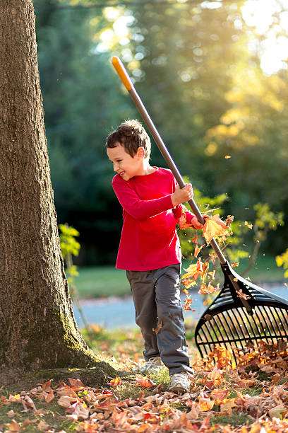 istock Child with special needs raking leaves in the front yard 619234330