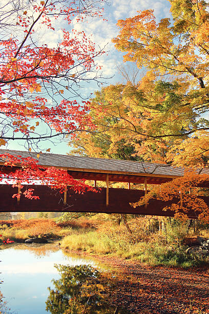 istock Beautiful foliage Upstate New York 619235650