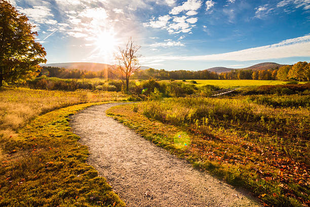 istock Beautiful foliage Upstate New York 619235880