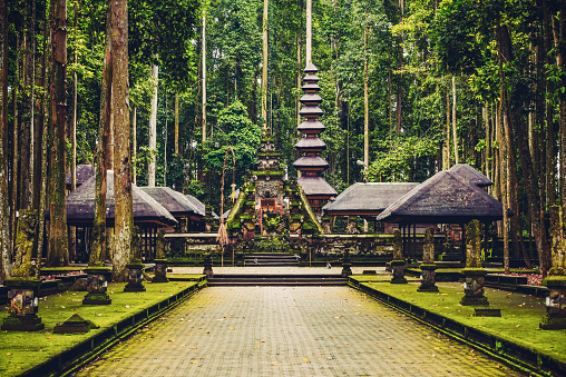 Sacred Monkey Forest Sanctuary in Ubud, Bali, Indonesia.