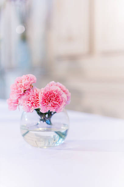 istock Pink carnations flower in the glass vase 619236884
