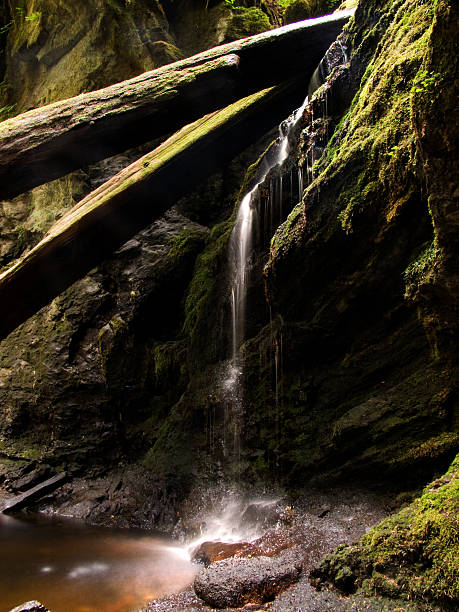 Cachoeira gosto  - foto de acervo