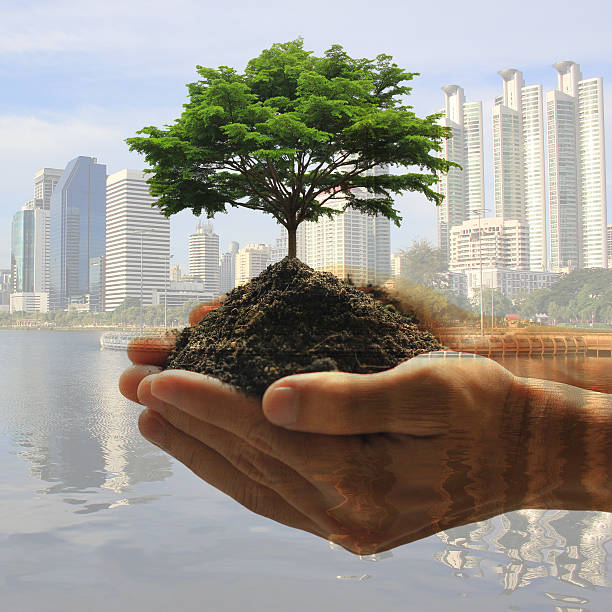 Man holding green plant in hand isolated on white